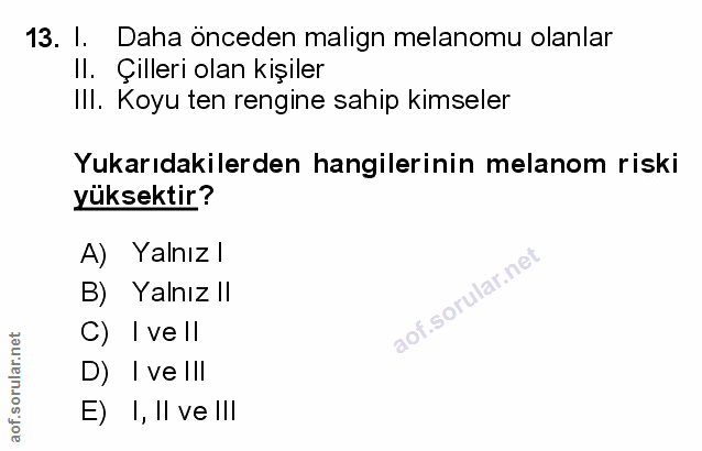 Soru 13