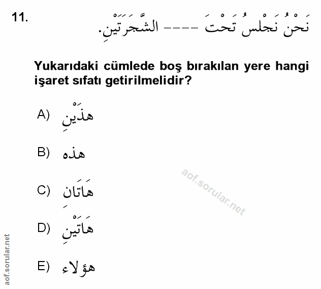 Soru 11
