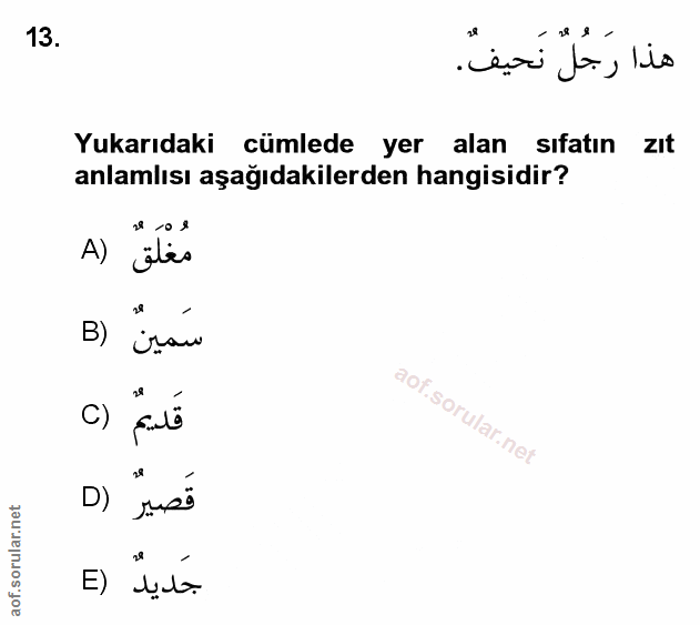 Soru 13