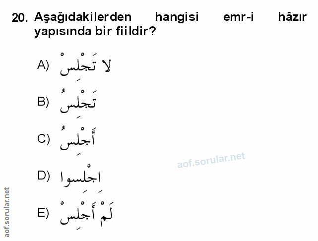 Soru 20