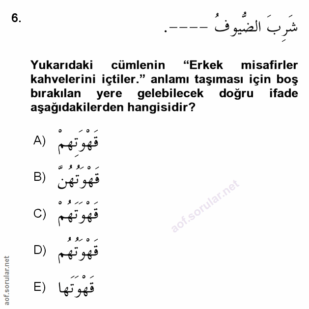 Soru 6
