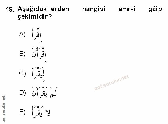 Soru 19