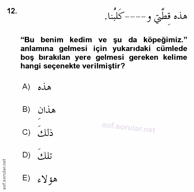 Soru 12
