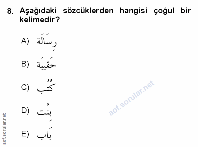 Soru 8