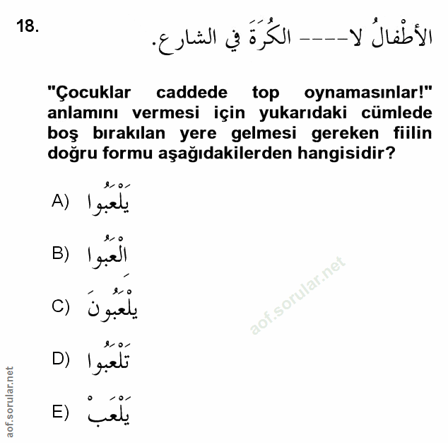 Soru 18
