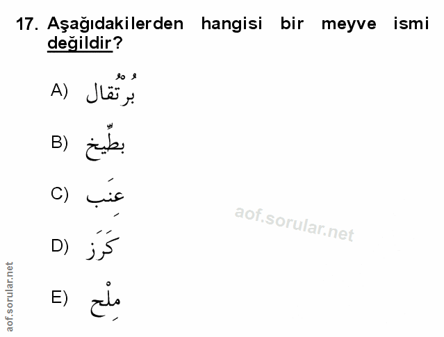 Soru 17
