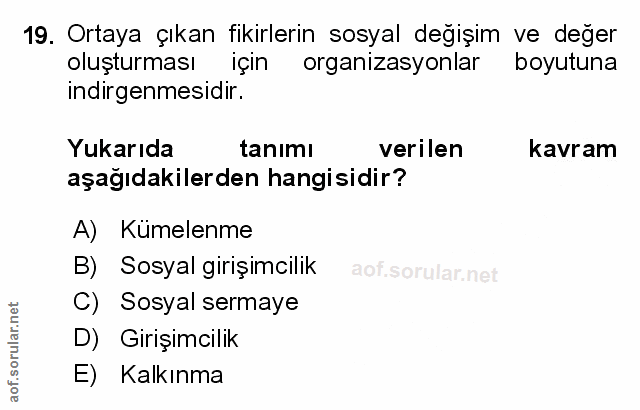 Soru 19