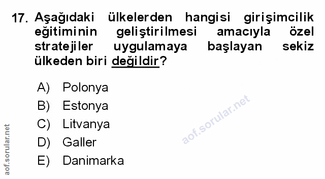 Soru 17