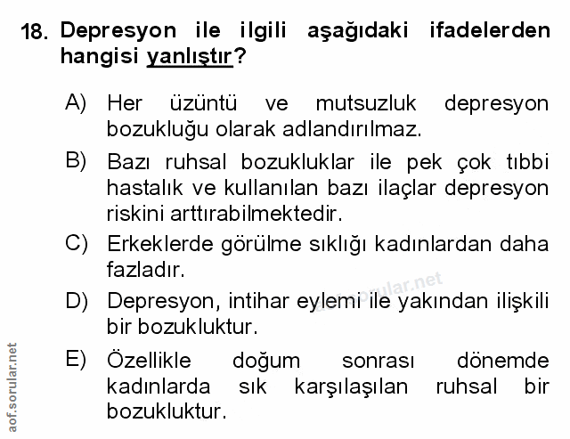 Soru 18