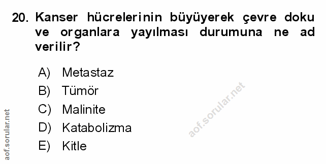 Soru 20