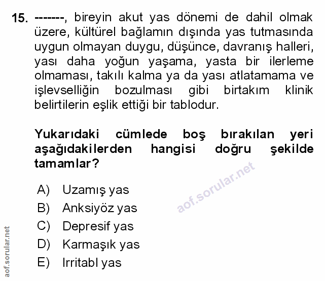 Soru 15