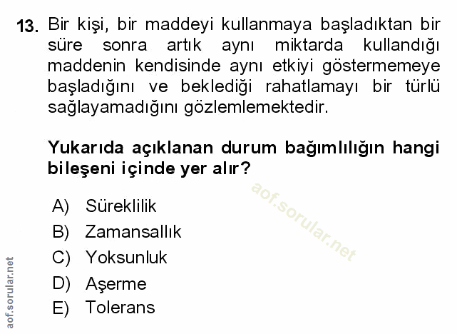 Soru 13