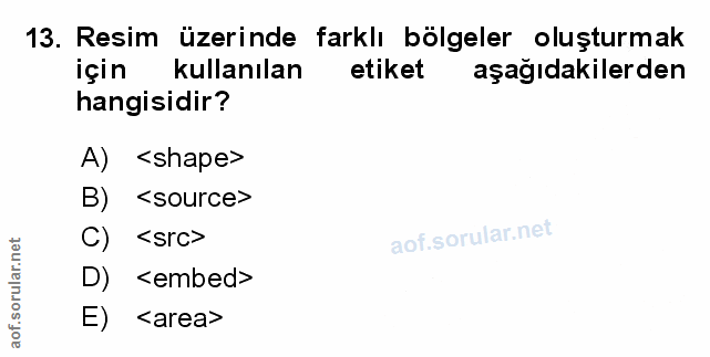 Soru 13
