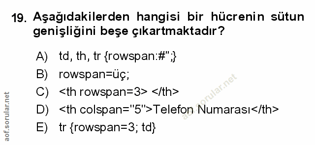 Soru 19