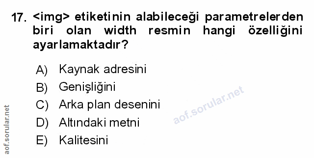 Soru 17