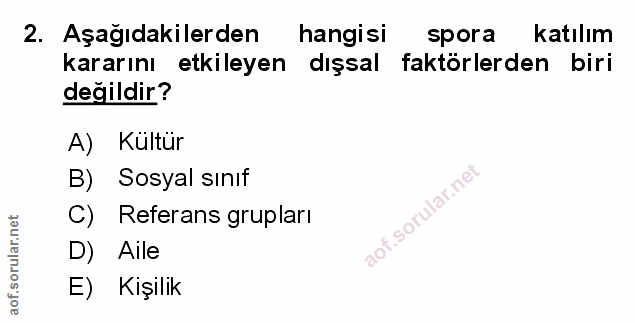 Soru 2
