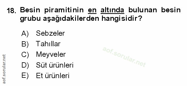 Soru 18