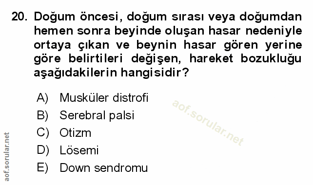 Soru 20