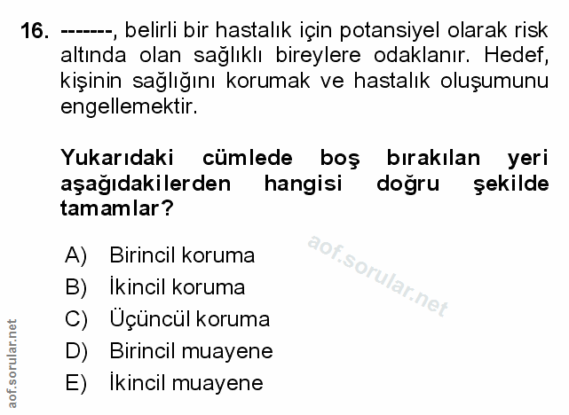 Soru 16