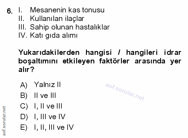 Soru 6