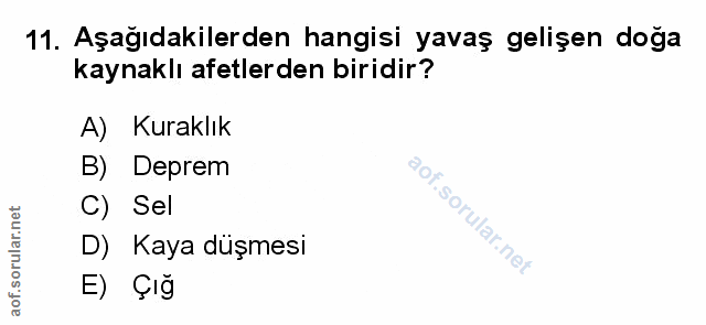 Soru 11