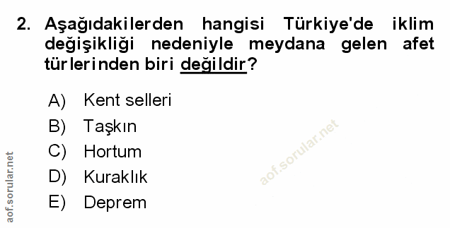 Soru 2