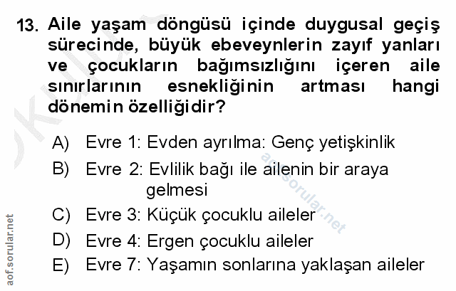 Soru 13