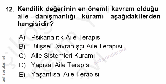Soru 12