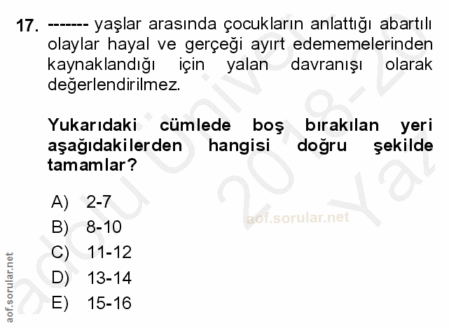 Soru 17
