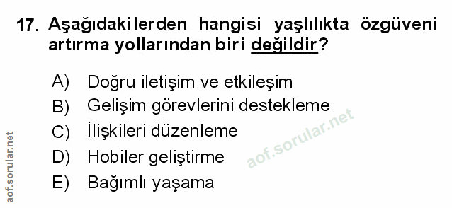Soru 17