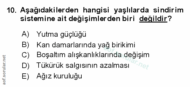 Soru 10