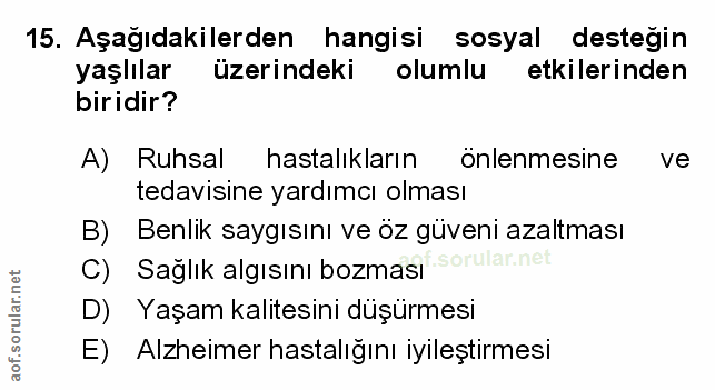 Soru 15