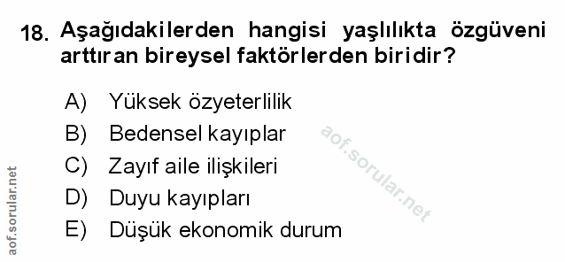 Soru 18