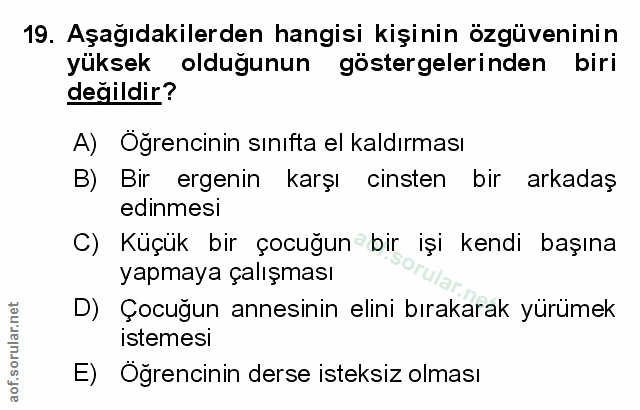 Soru 19