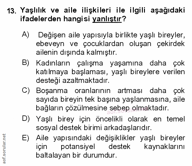Soru 13