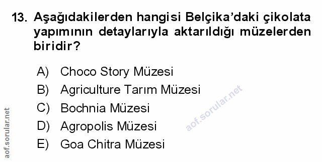 Soru 13