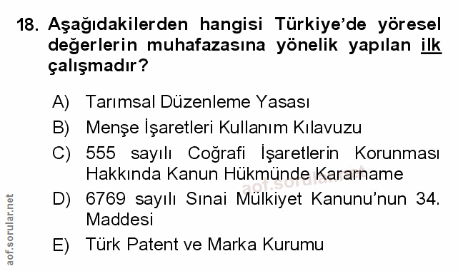 Soru 18