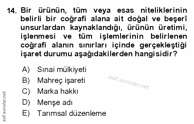 Soru 14