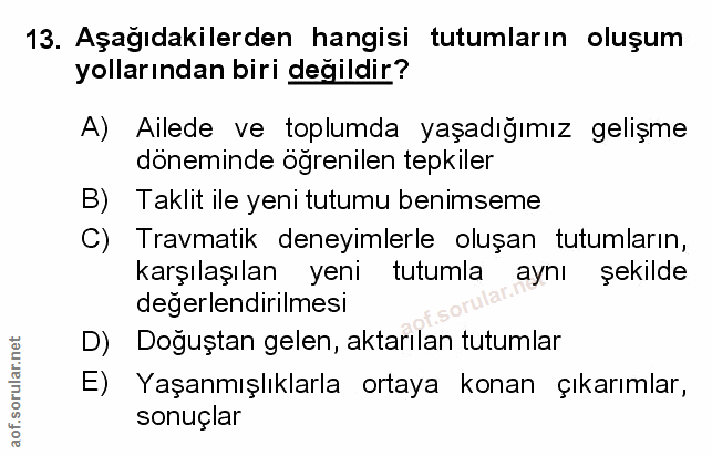 Soru 13