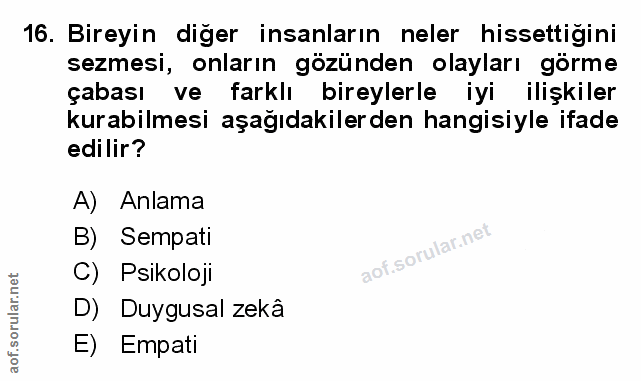 Soru 16