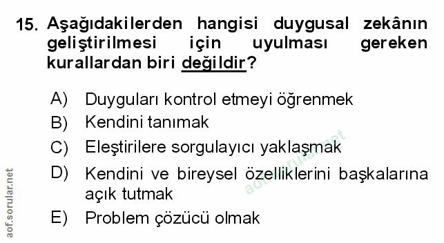 Soru 15