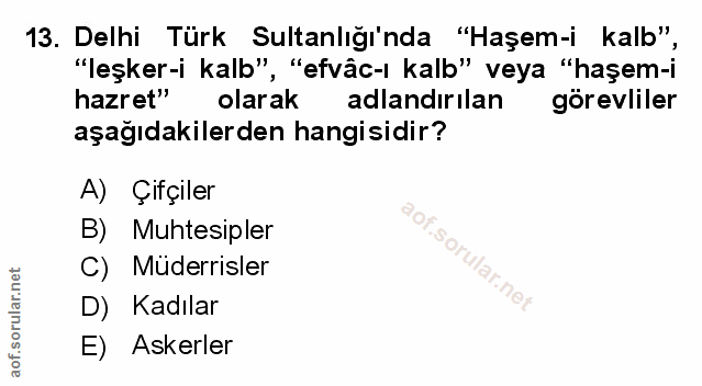Soru 13