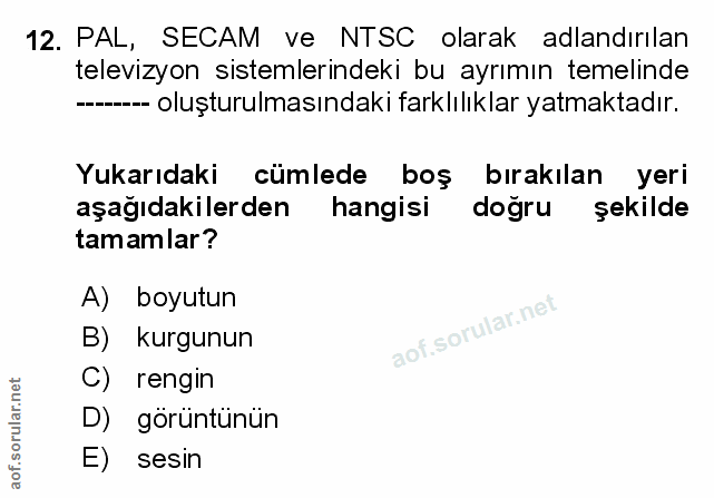 Soru 12