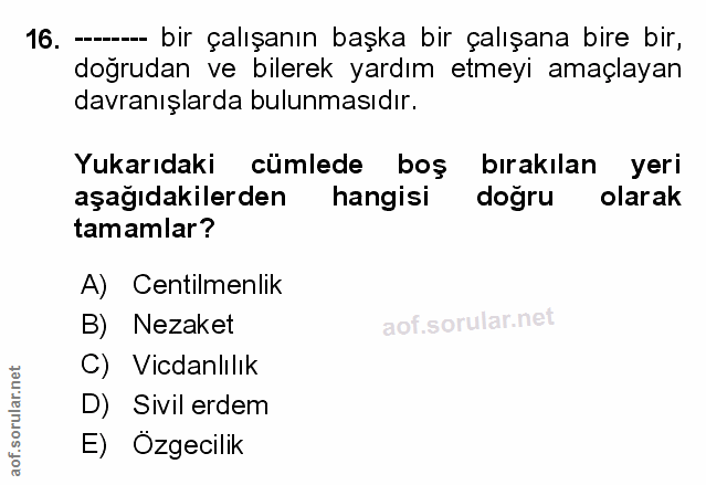 Soru 16