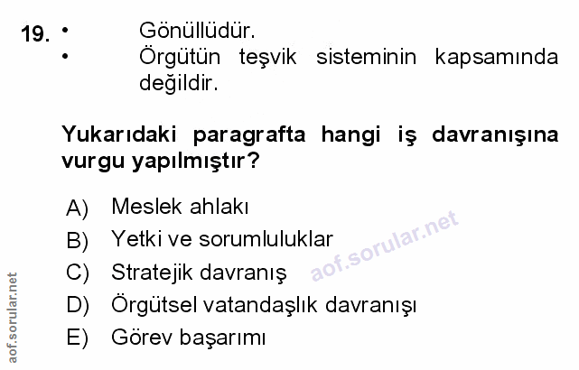 Soru 19