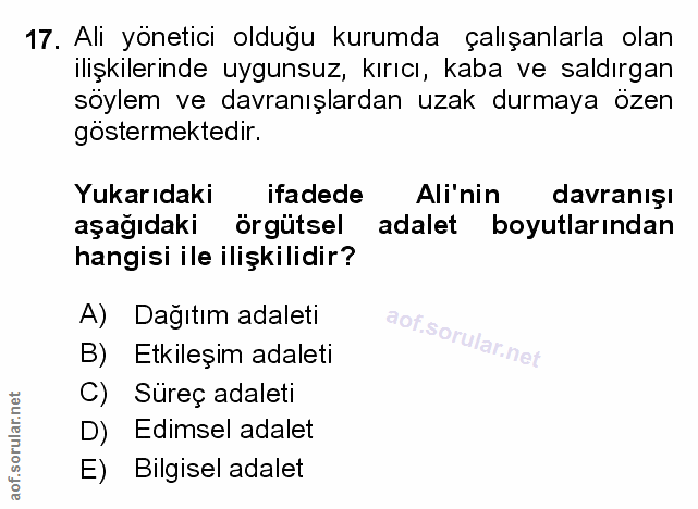 Soru 17