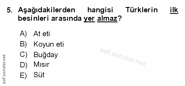 Soru 5