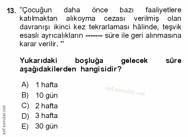 Soru 13