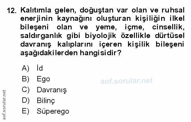 Soru 12
