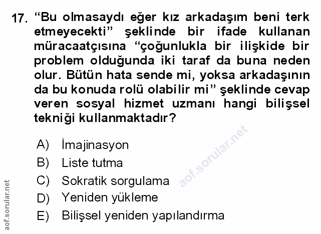 Soru 17